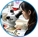Full Performance Inspection