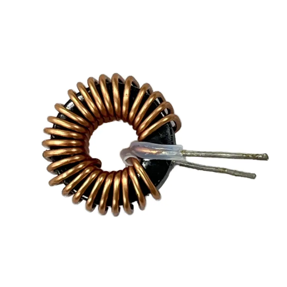 Customized magnetic ring inductor