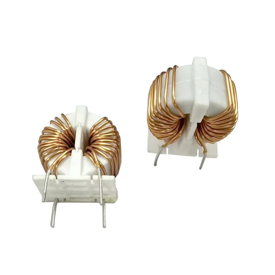 Customized magnetic ring inductor