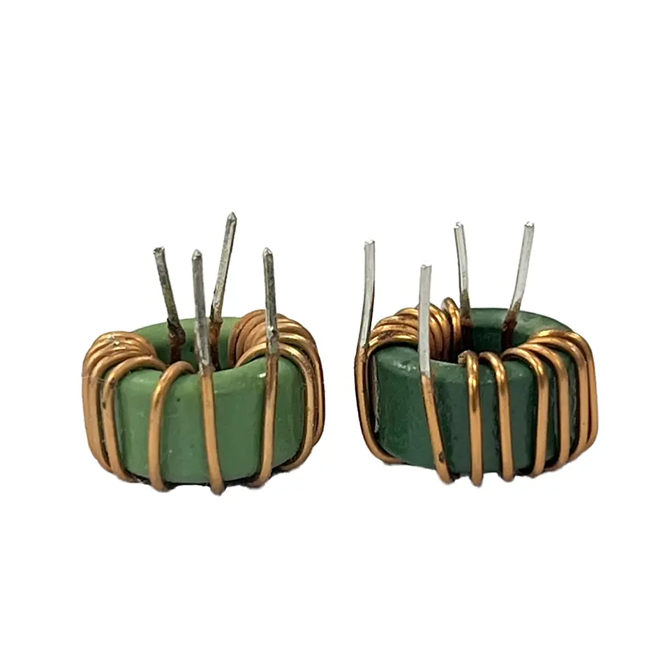 Customized magnetic ring inductor