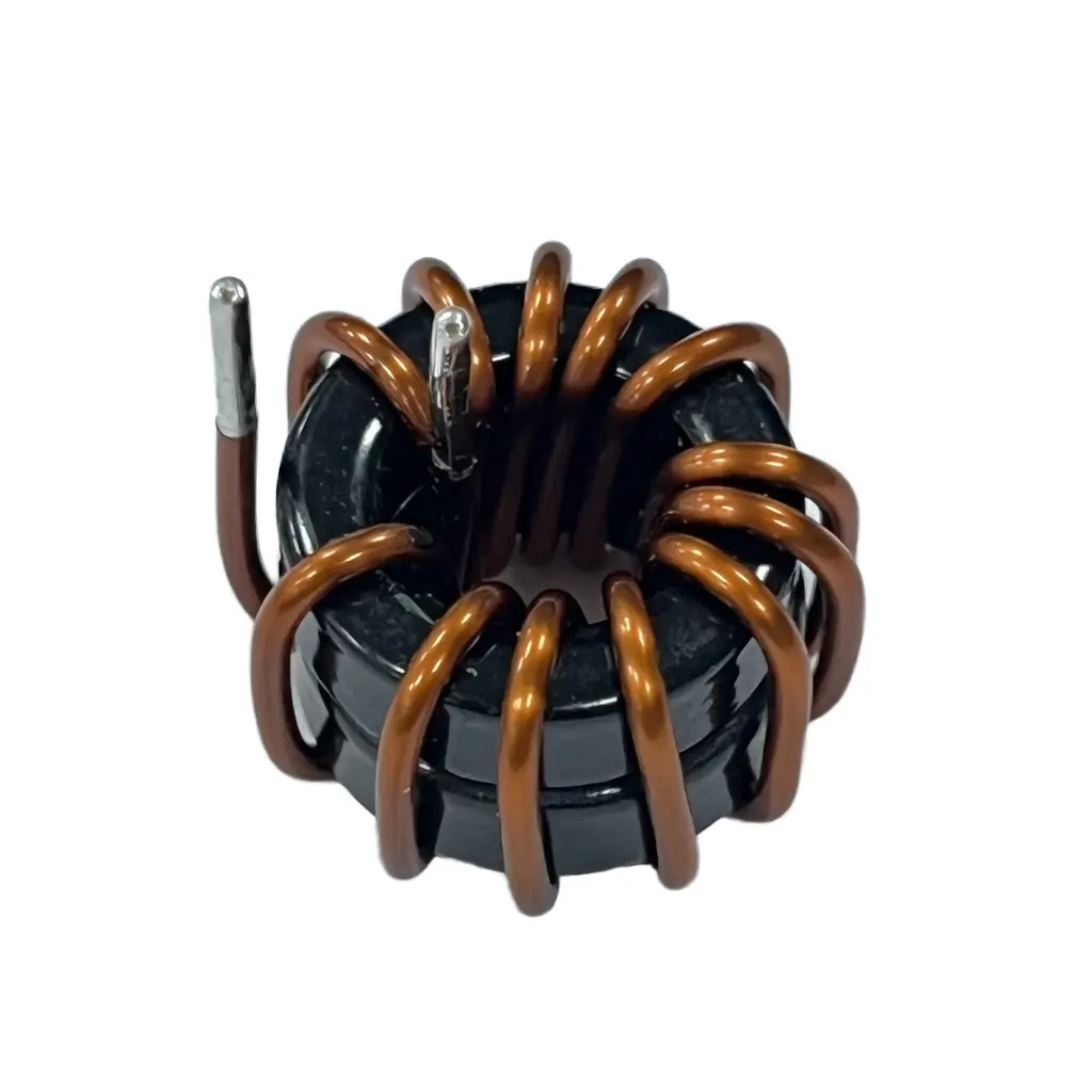 Customized magnetic ring inductor