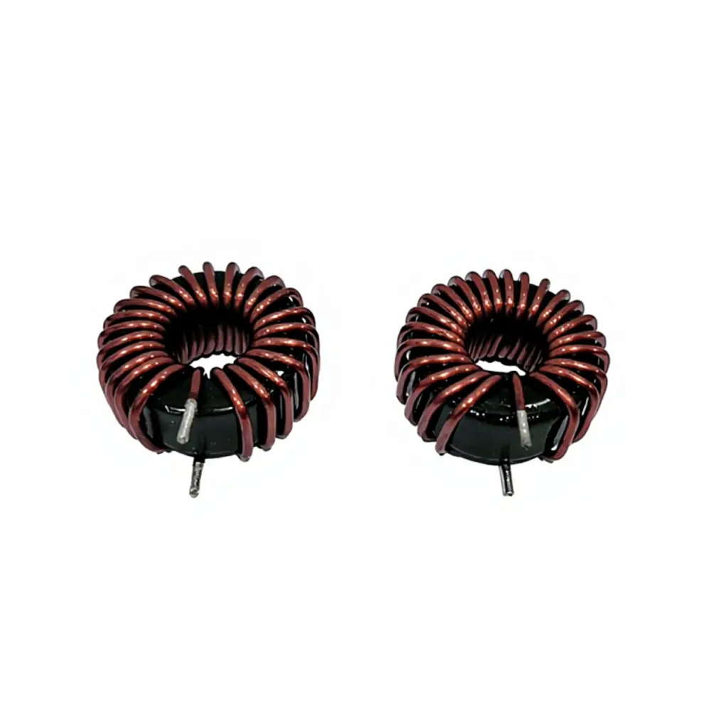 Customized magnetic ring inductor