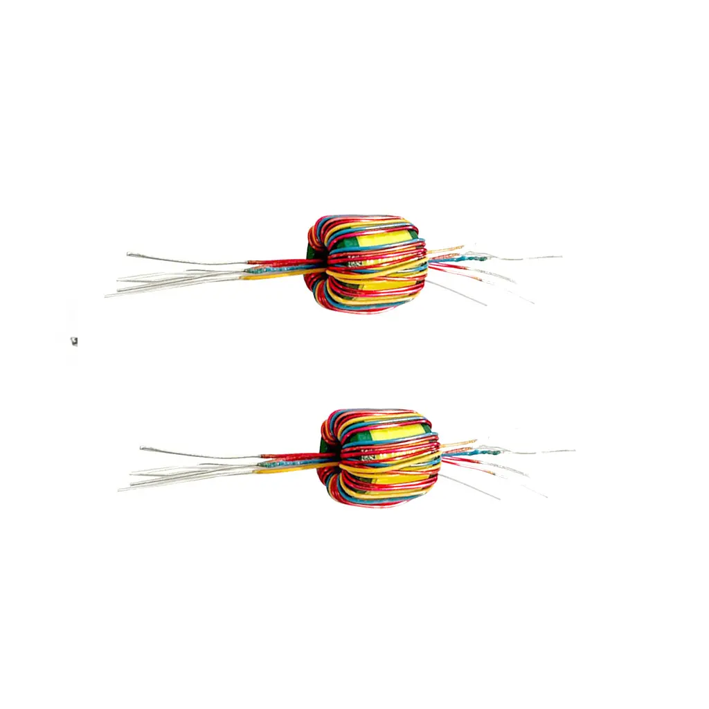 Customized magnetic ring inductor
