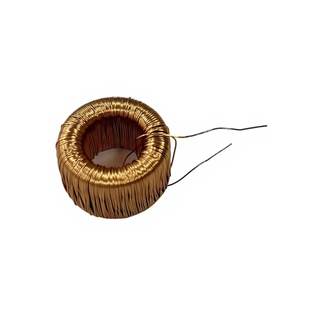 Customized magnetic ring inductor
