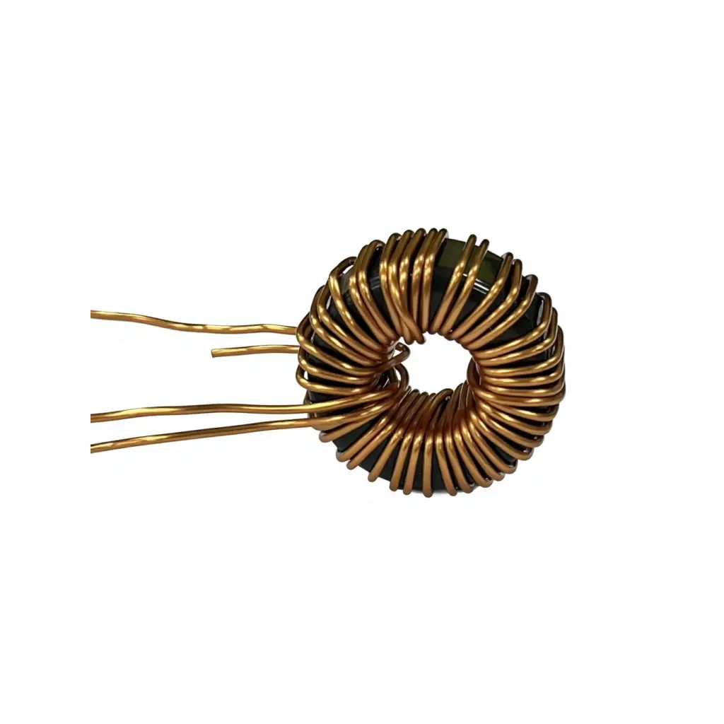 Customized magnetic ring inductor
